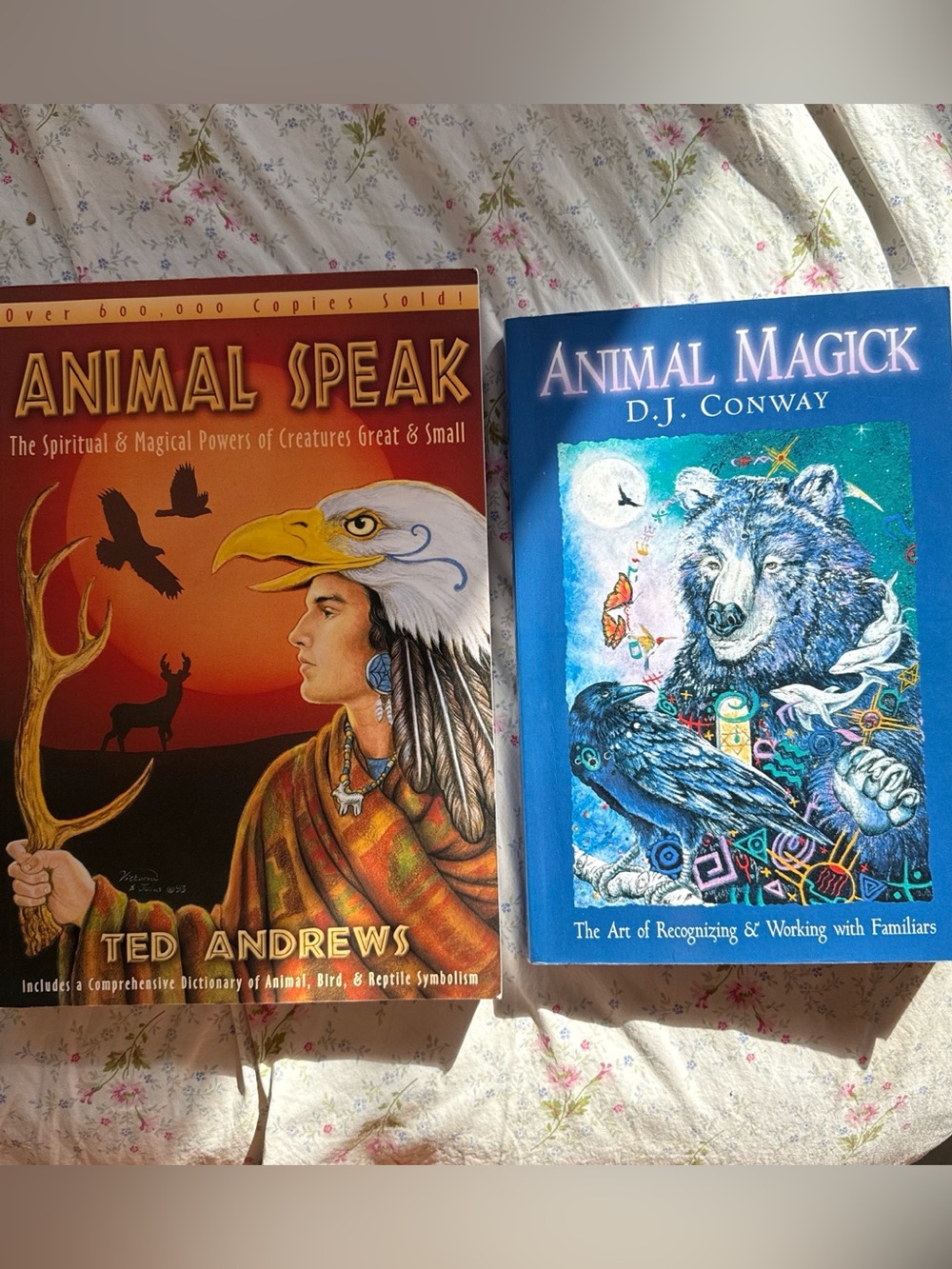 animal magic book bundle